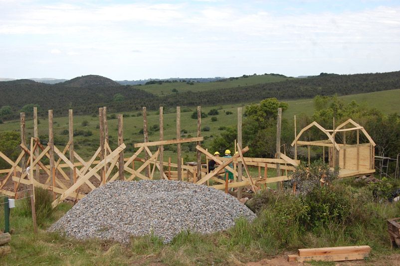 Semana 2 colocación de pilares de madera